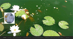 Desktop Screenshot of ameour.com
